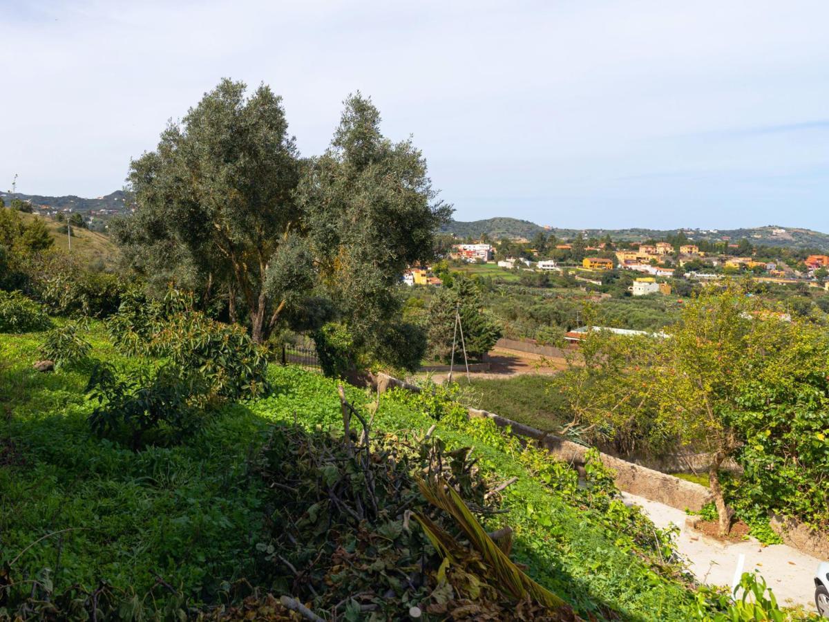 Live Finca El Gamonal Bajo Con Piscina Y Jardin En La Naturaleza 산타 비르지타 외부 사진